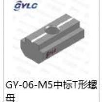 GY-06-M5中标T型螺母
