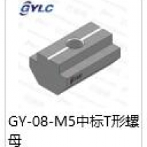 GY-08-M5中标T型螺母