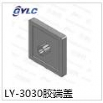 LY-3030胶端盖