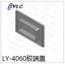 LY-4060胶端盖