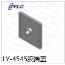 LY-4545胶端盖
